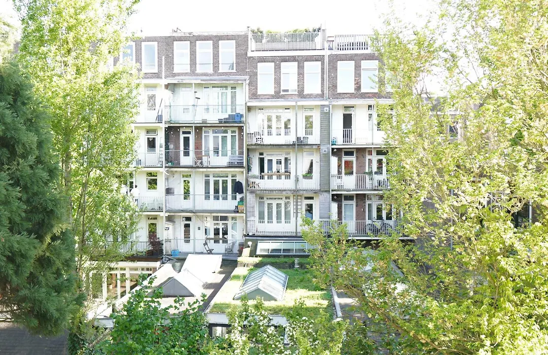 Onefam Amstel-1