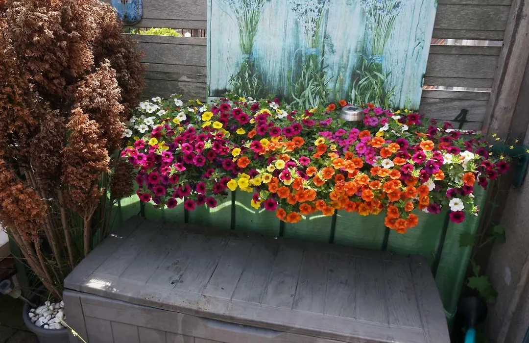 Amsterdam Roof Terrace B&B-1
