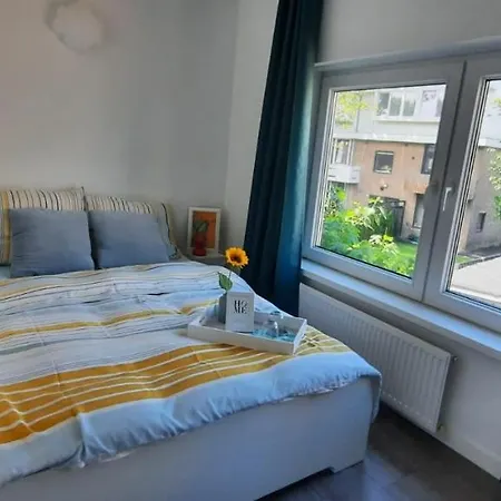 Sunny Guesthouse-3