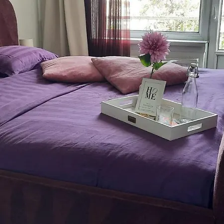 Sunny Guesthouse-2