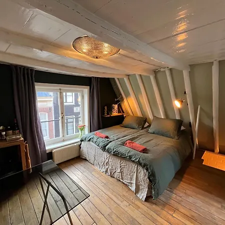 Attic Monkeys Lodge-2