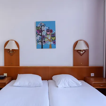 Owl Hotel-3